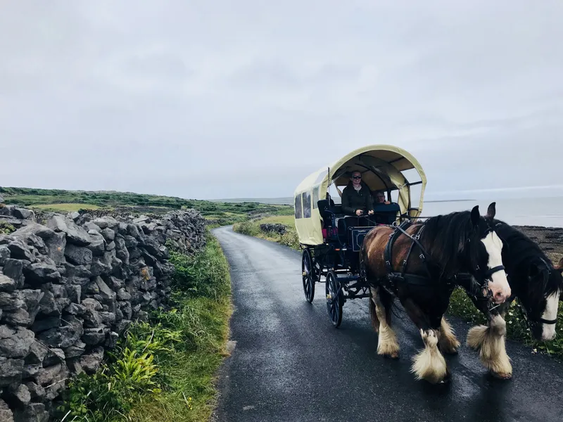 Galway and the Aran Islands, photograph 11 of 15