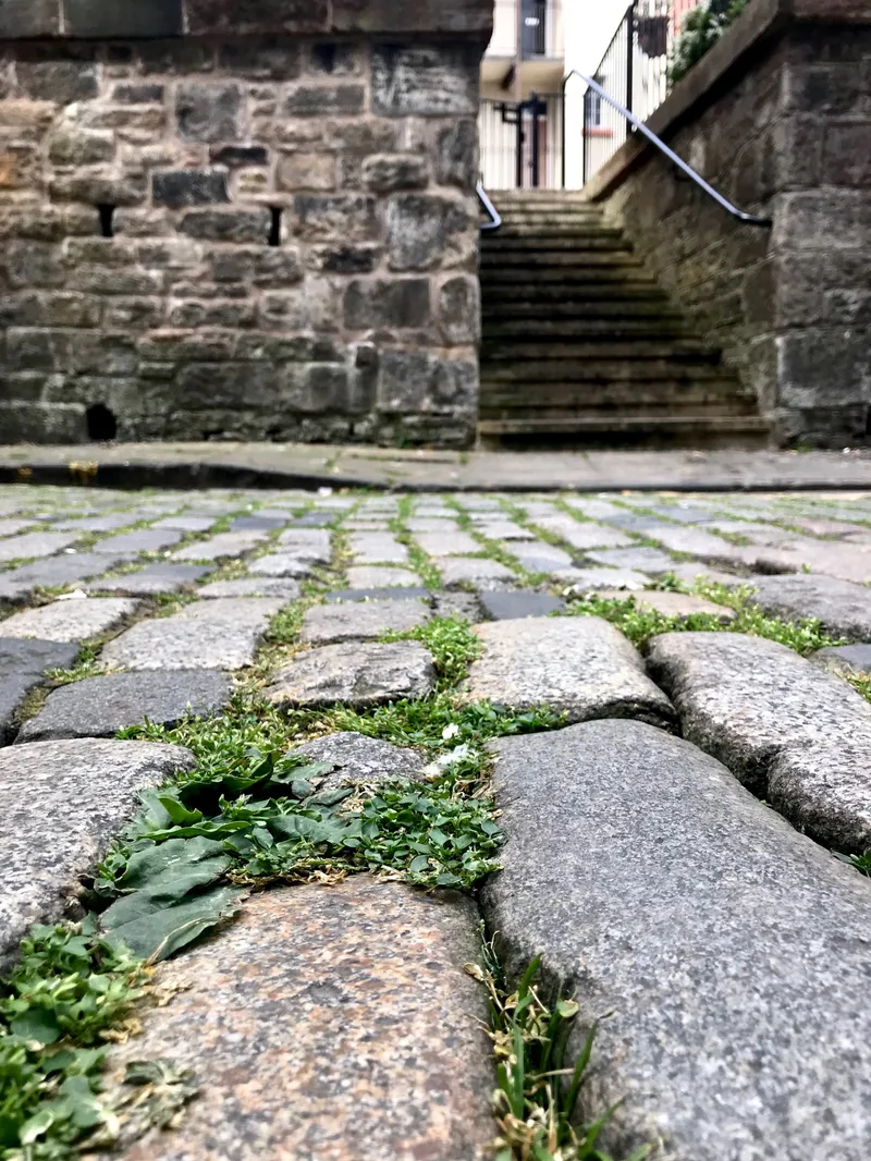 Edinburgh For A While, photograph 87 of 92