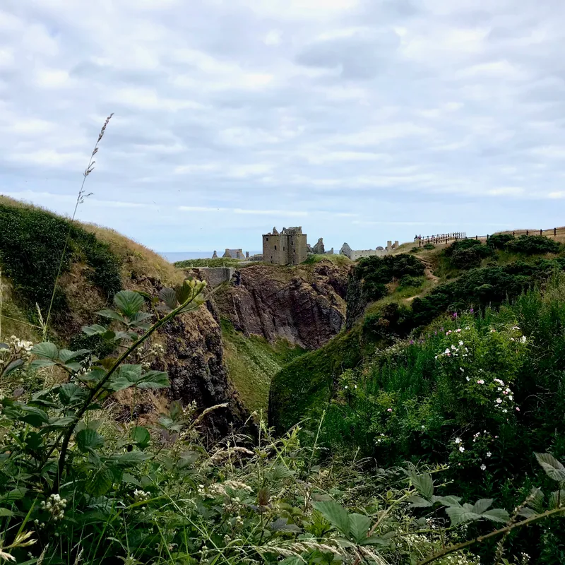 Edinburgh For A While, photograph 78 of 92