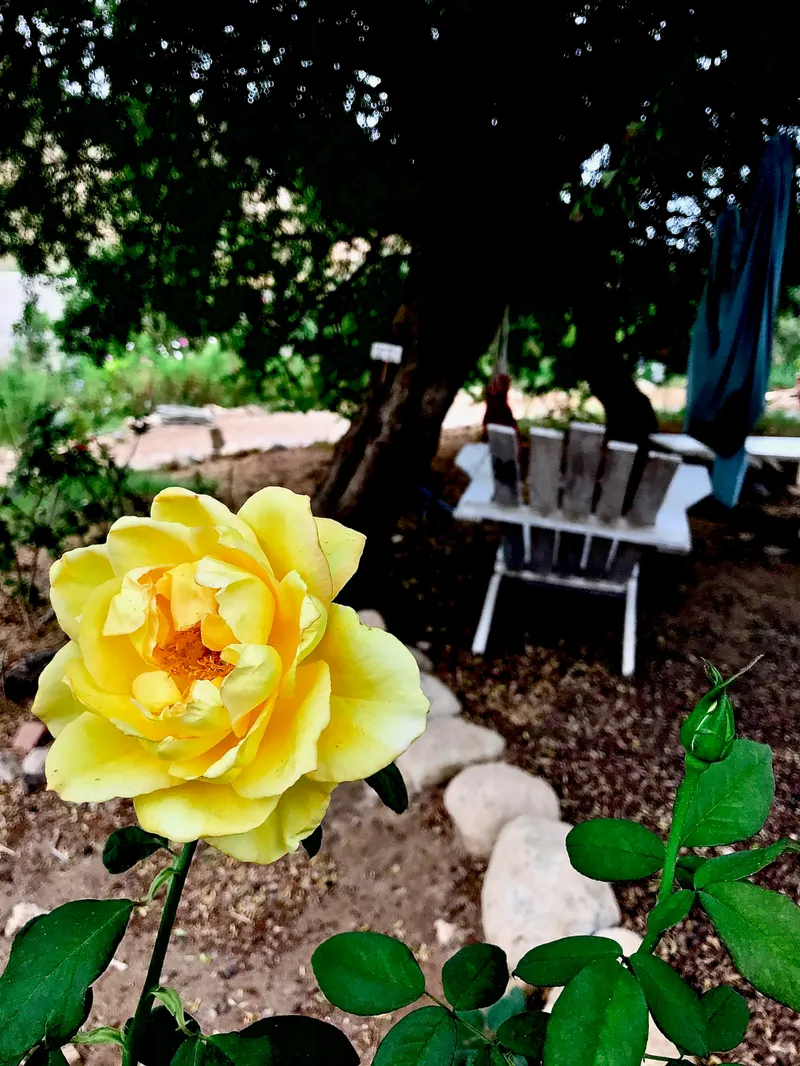 Morocco Part 1, photograph 22 of 31