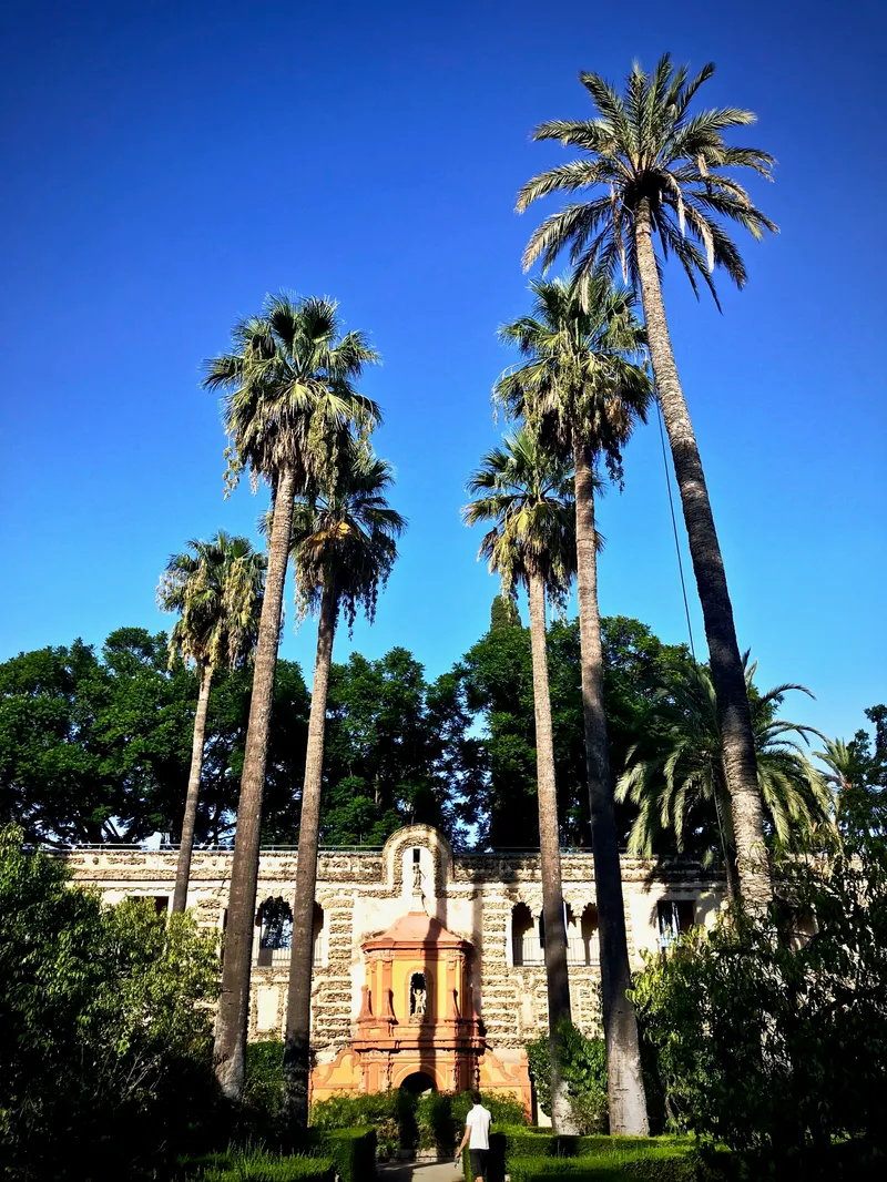 Sevilla, photograph 61 of 77