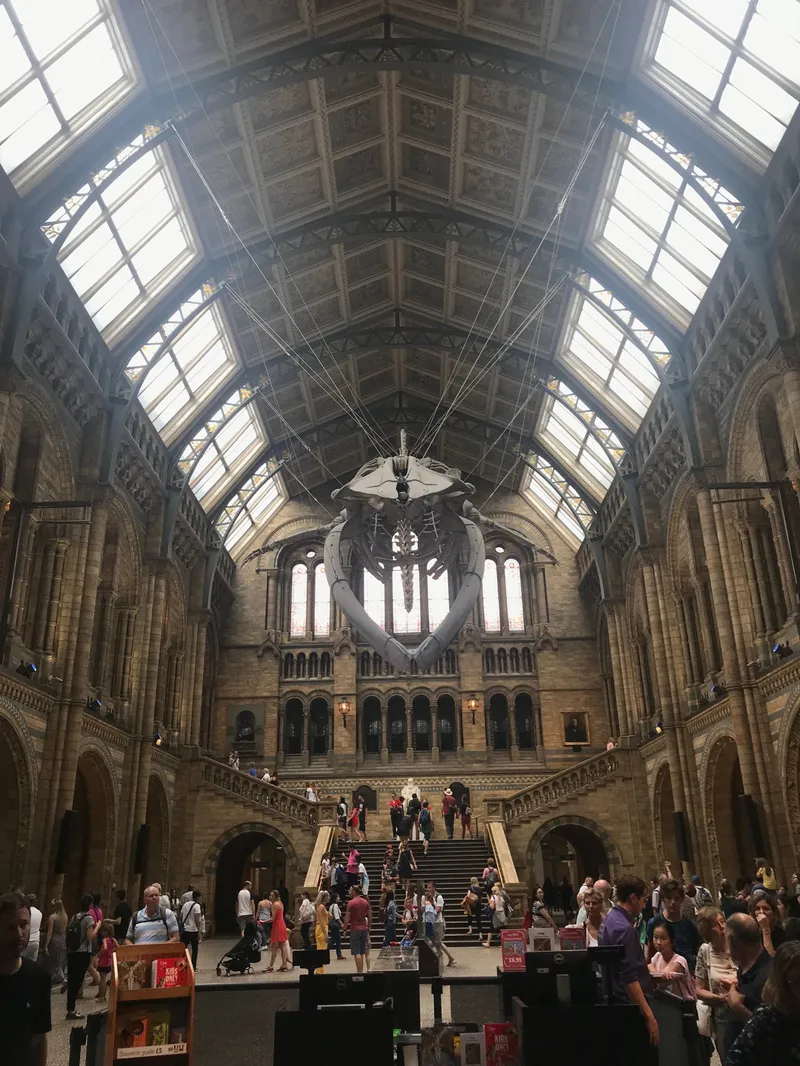 London (and Northampton), photograph 55 of 181