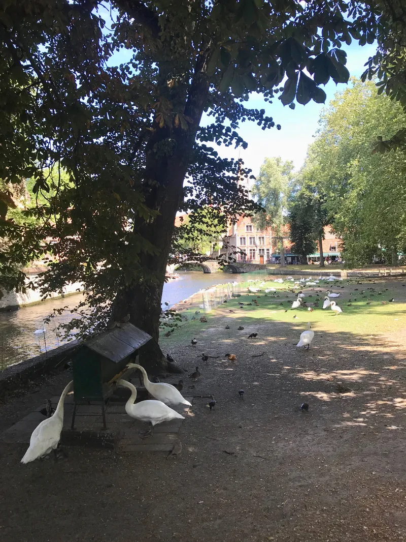A Quick Stop in Bruges, photograph 11 of 23
