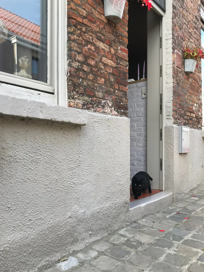 Antwerp for the Afternoon, photograph 2 of 29